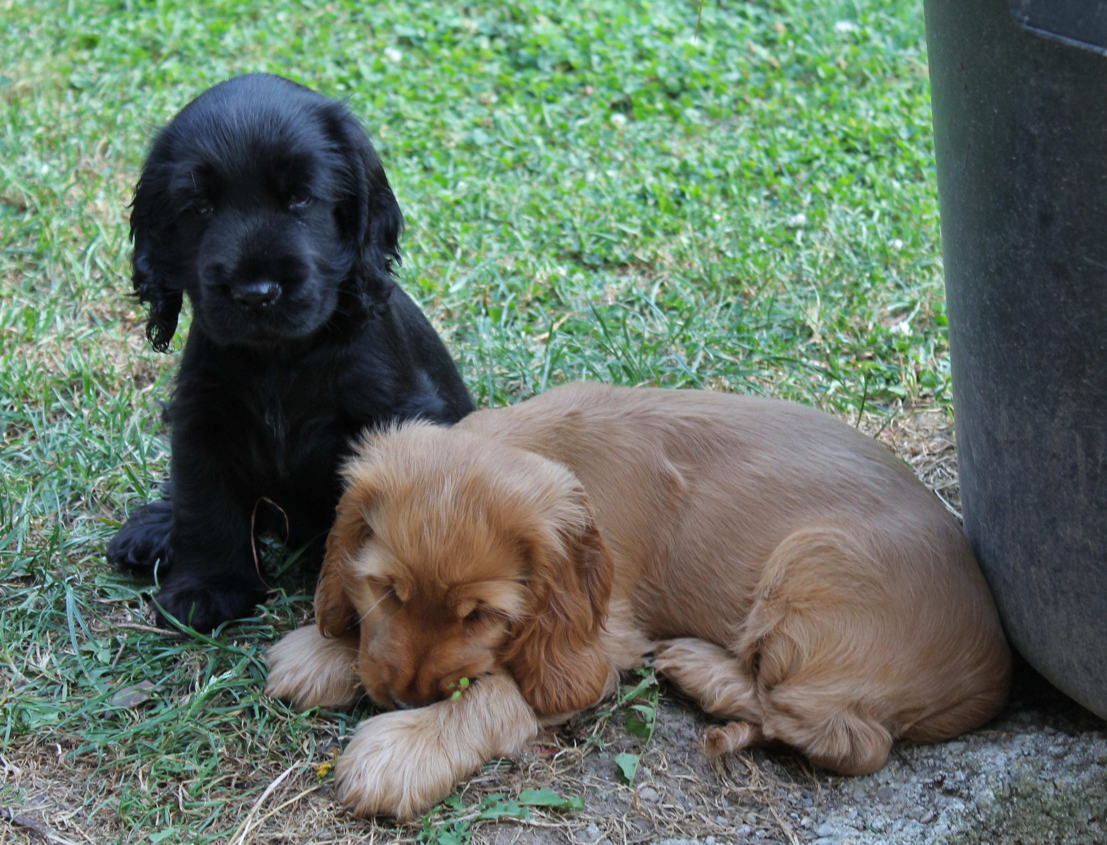 Sam und Schwester